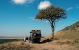 A landscape featuring a safari vehicle parked near a lone tree on a grassy hillside. People are standing near the vehicle, looking out over a vast open plain beneath a clear blue sky with a few clouds.