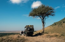 A landscape featuring a safari vehicle parked near a lone tree on a grassy hillside. People are standing near the vehicle, looking out over a vast open plain beneath a clear blue sky with a few clouds.
