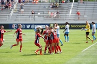 Fans celebrating a goal in the stands.