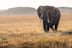 Big Five