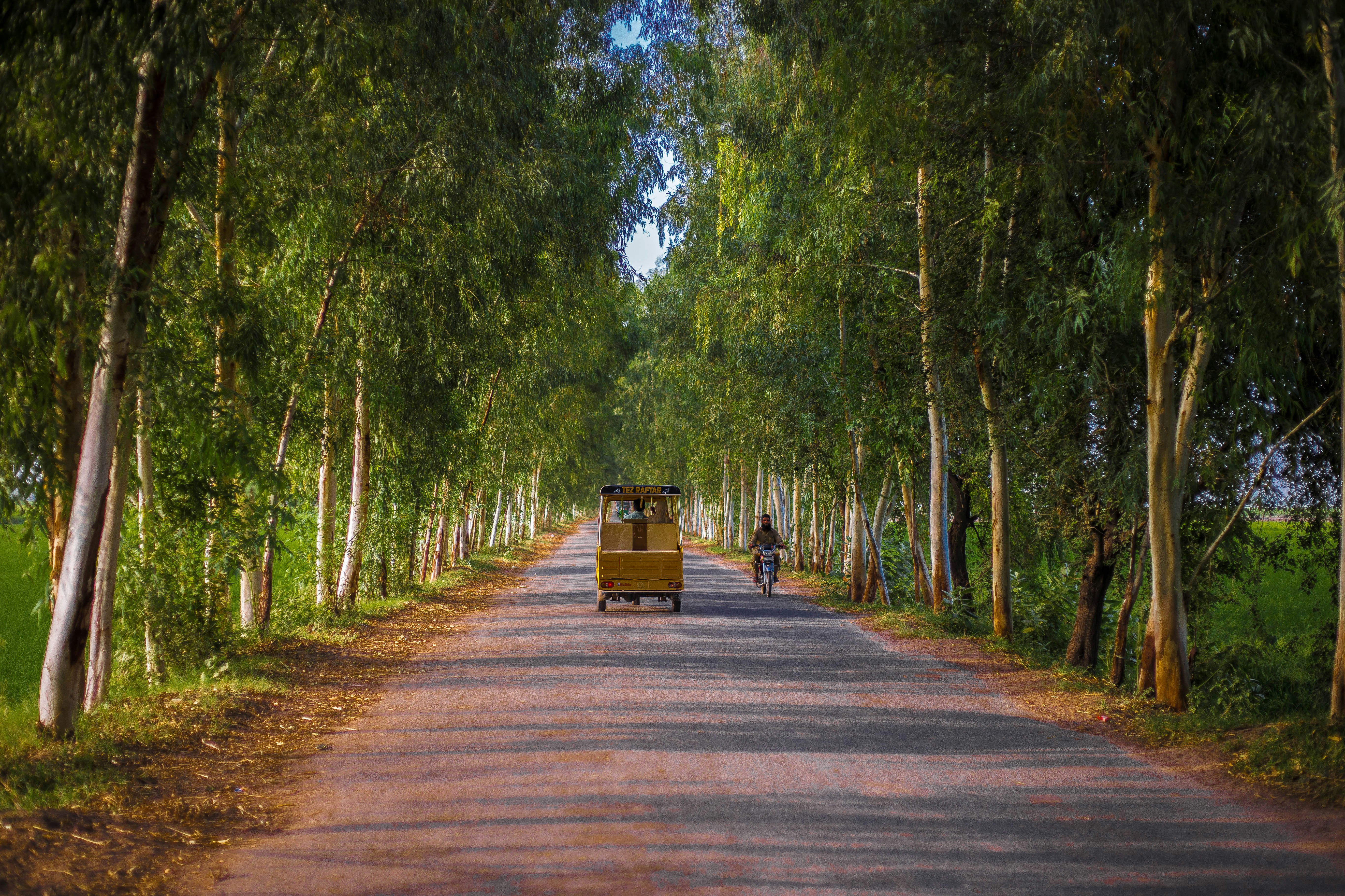 A beautiful pathway of village, Punjab Pakistan