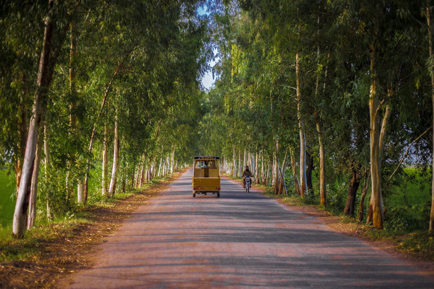 Rajgir