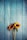 two yellow sunflowers on gray wooden surface