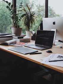 Bürotisch mit Laptop, Computer, Pflanzen und Unterlagen drauf