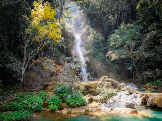 waterfalls and trees
