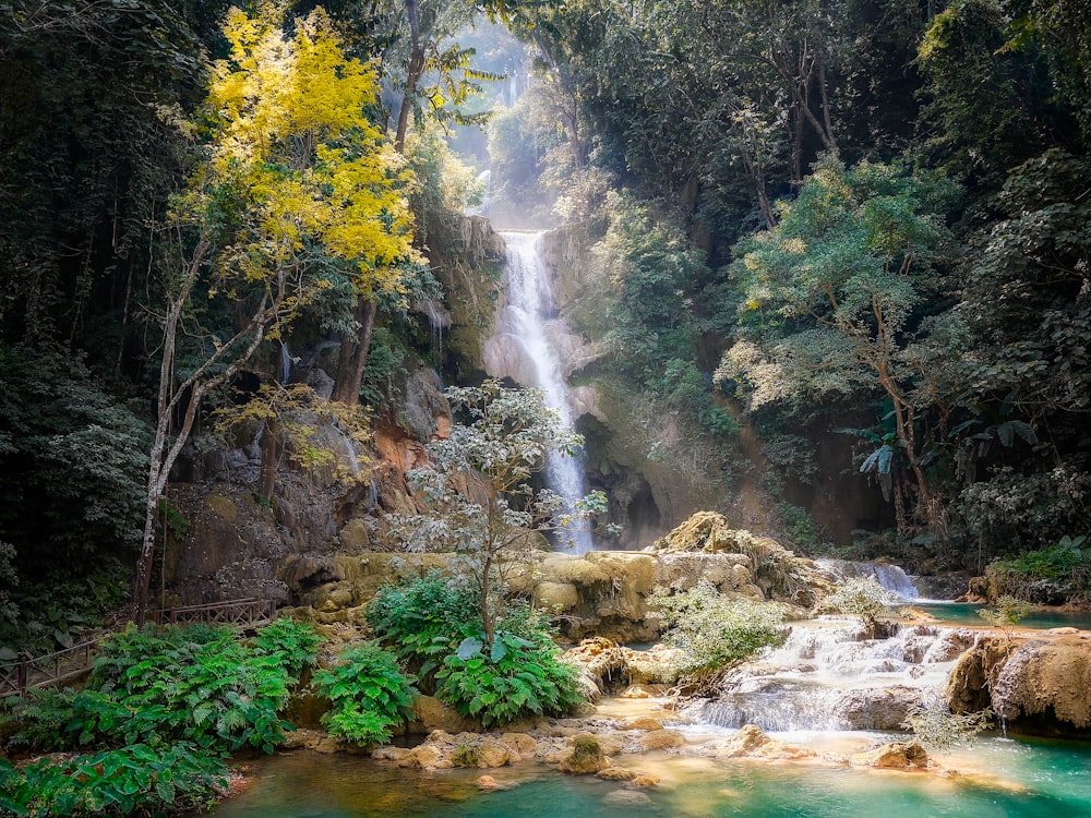 waterfalls and trees