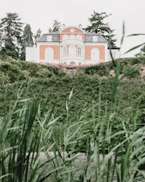 A large, elegant house with orange brick and white accents is situated atop a lush, green hill. The house features multiple arched windows and ornate architectural details. In the foreground, tall grass and foliage create a natural frame for the scene, adding to the serene and picturesque setting.