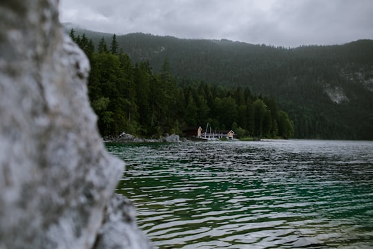 green trees near body of water during daytime in Eibsee Germany