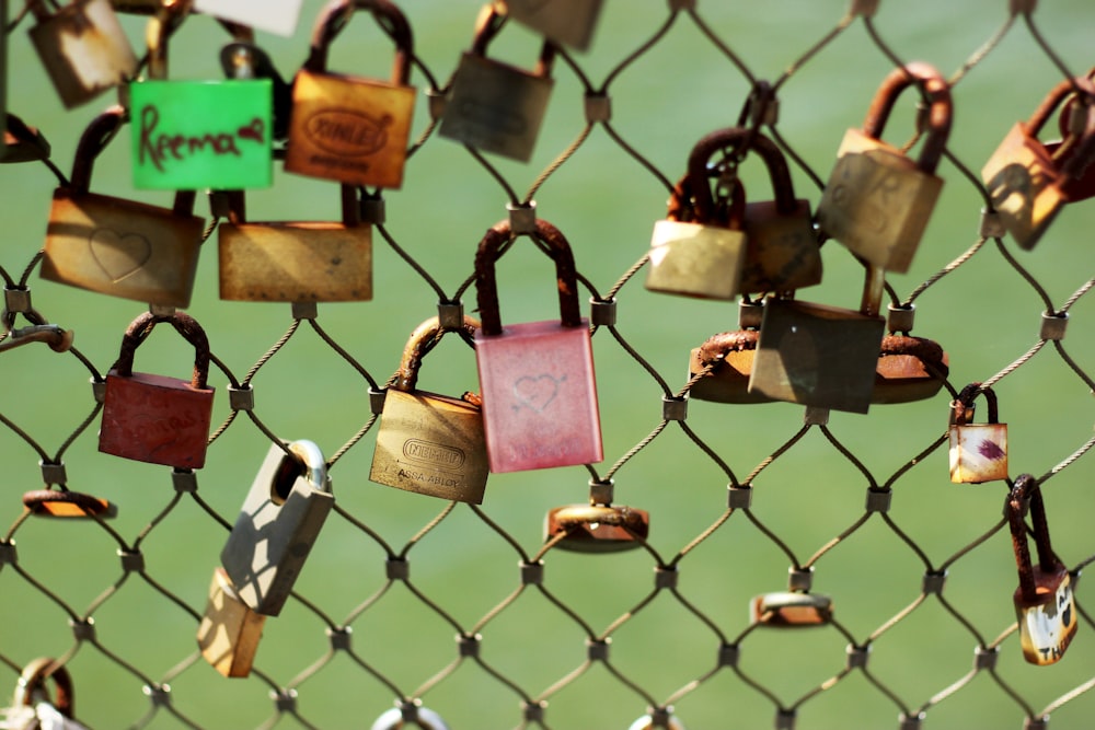 assorted-color padlock lot on fence