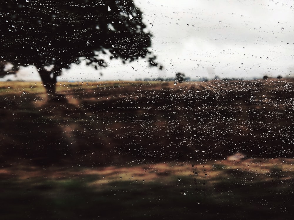a view of a field through a rain soaked window