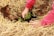 Two hands wearing red sleeves are gently planting a small green seedling into dark soil. The ground is covered with straw, creating a natural and organic environment. The focus is on the nurturing act of planting.