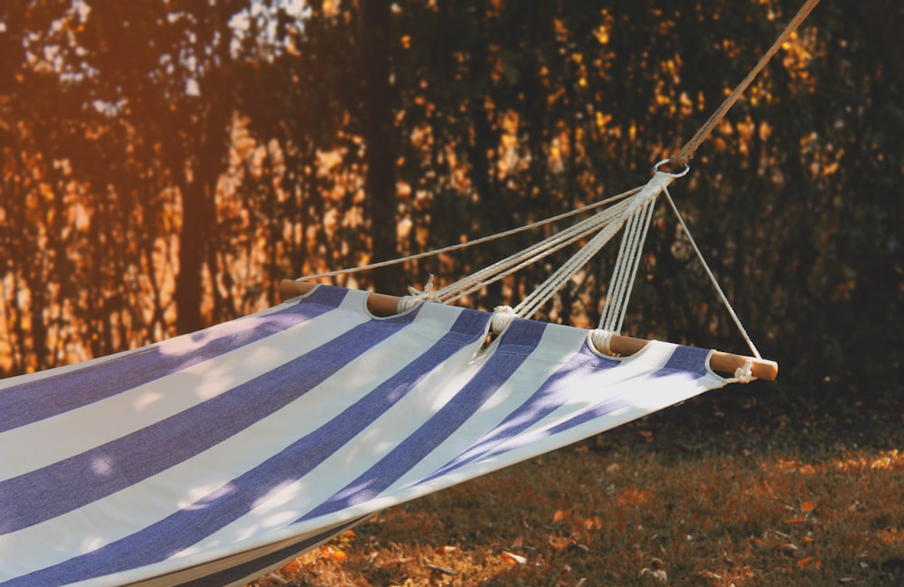 photo of hammock outdoor