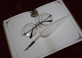 A beautiful quill pen resting on an open notebook.