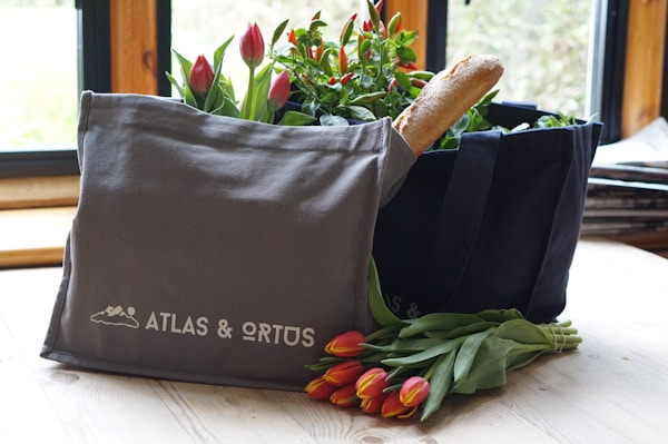 Bolsas corporativas con logo