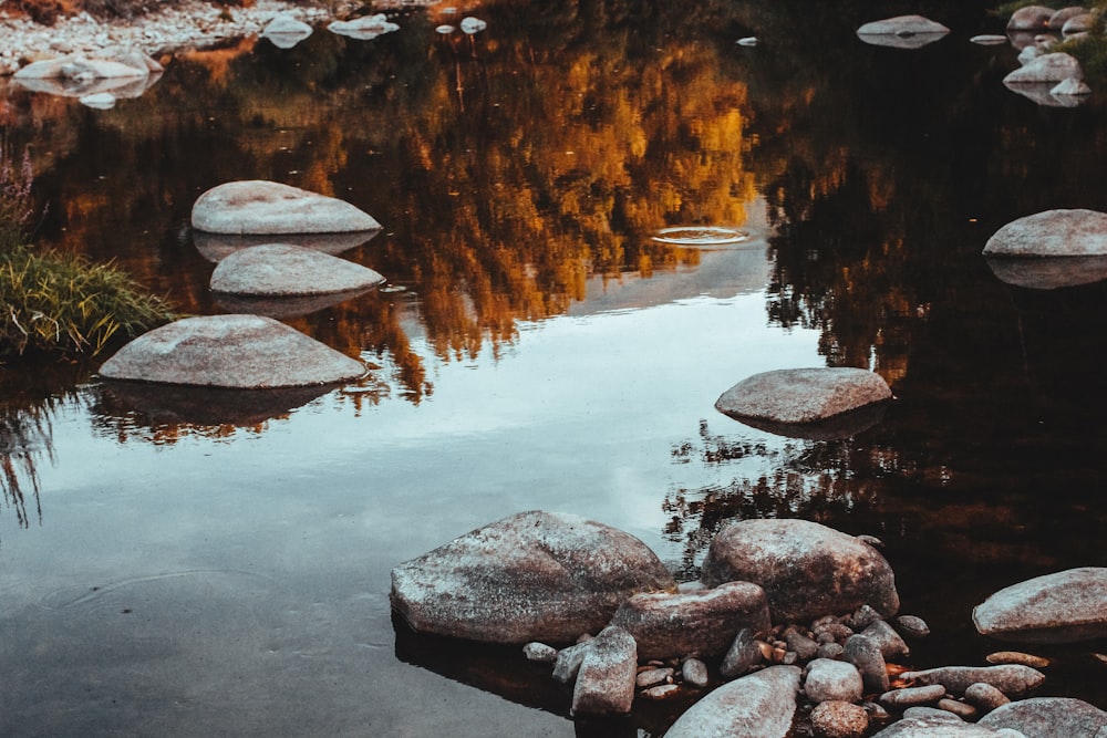 calm body of water with stones