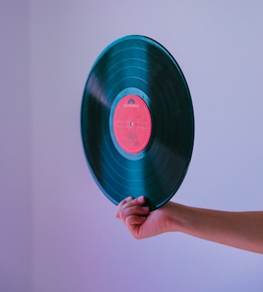 person holding vinyl record