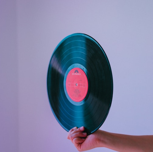 person holding vinyl record