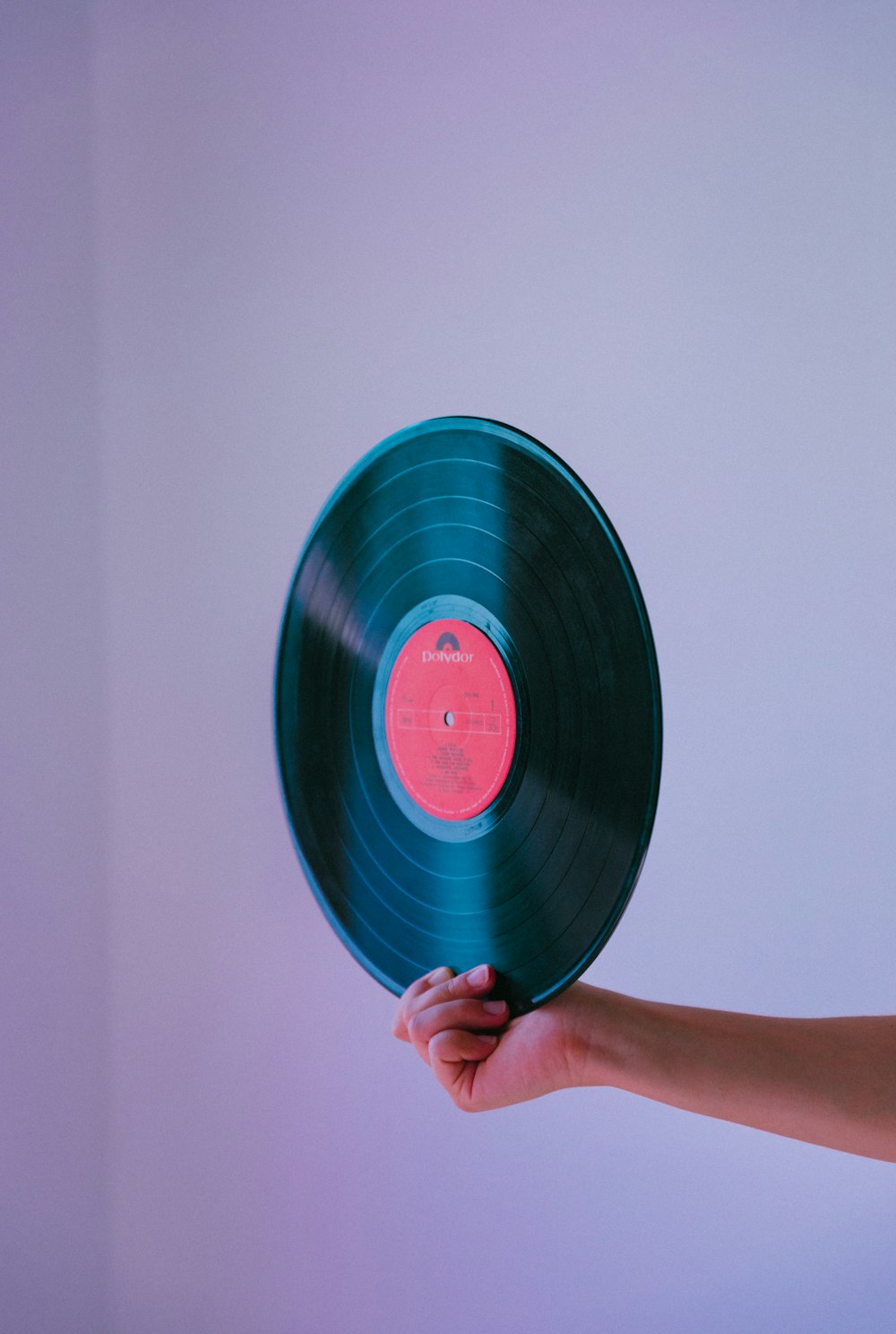 person holding vinyl record