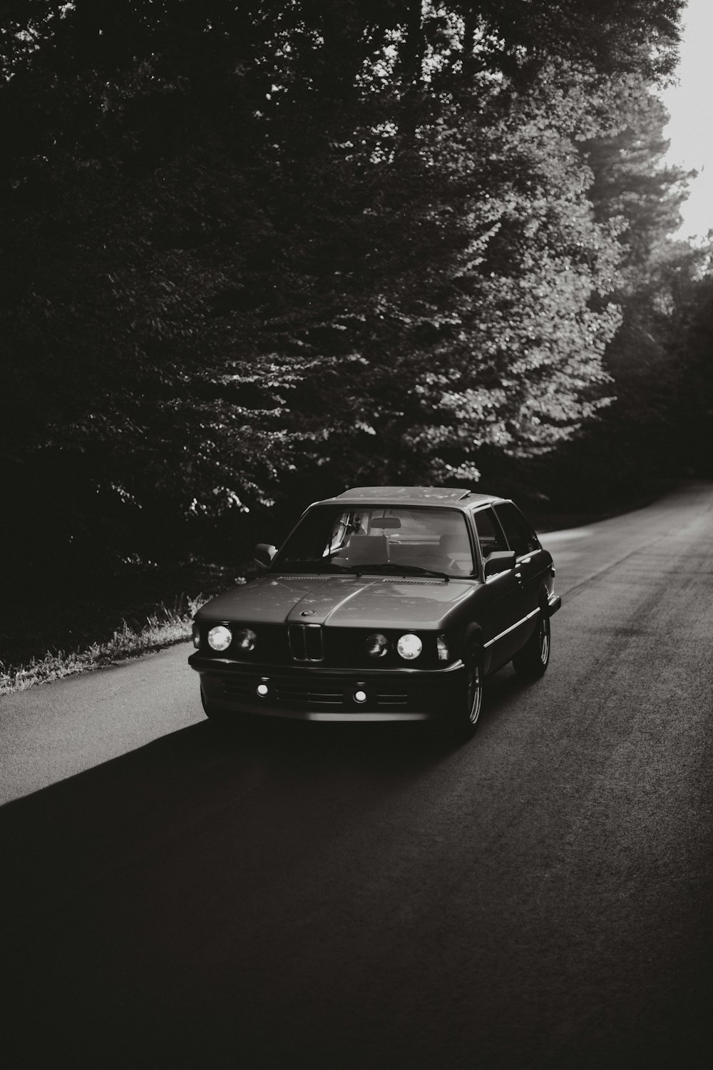 grayscale photo of BMW coupe near black trees