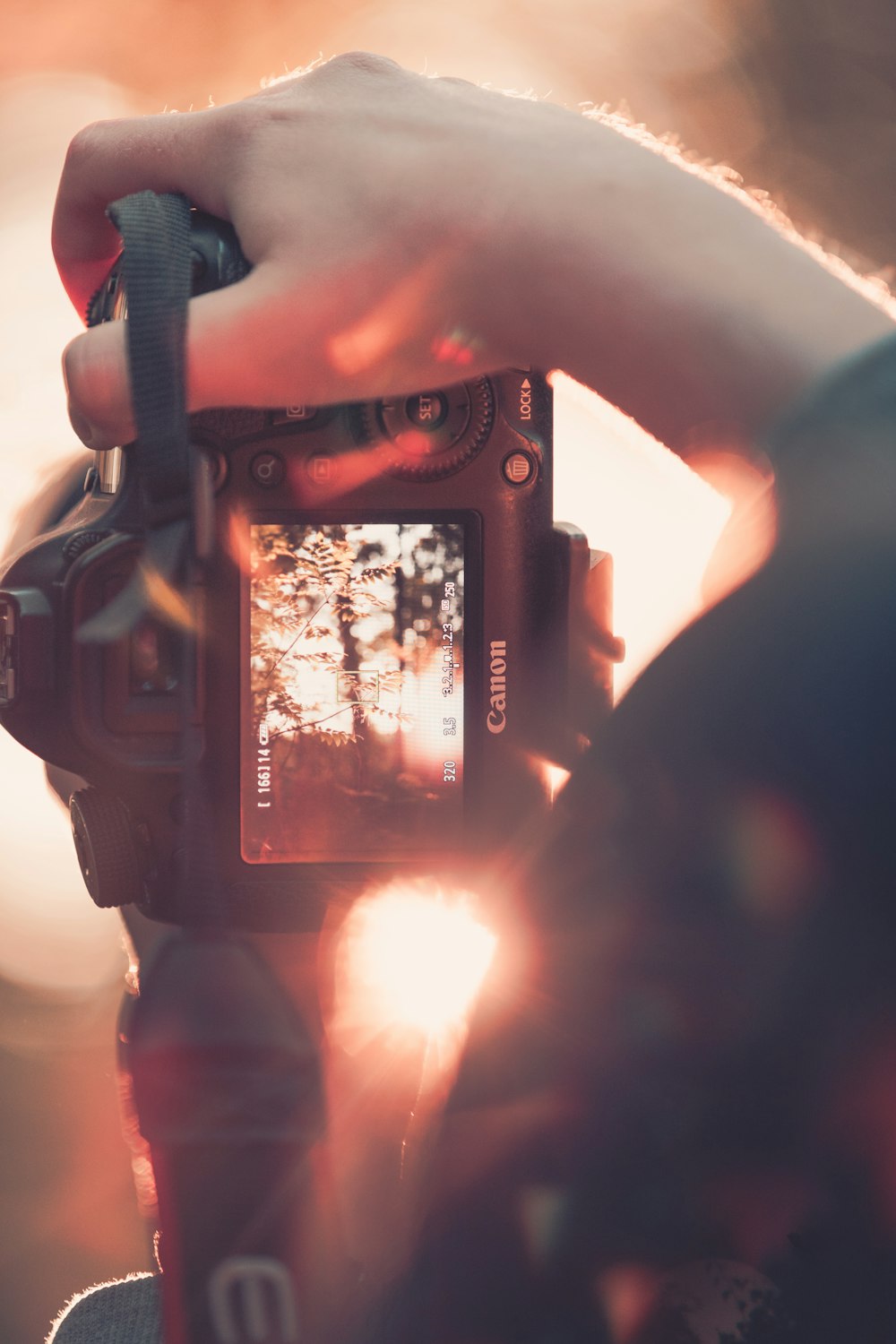 fotografía de enfoque selectivo de una persona sosteniendo una cámara Canon DSLR y tomando una foto de un árbol