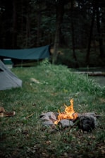 fire pit near gray dome tent at daytime