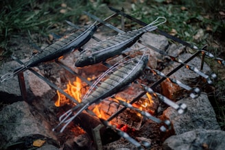three gray fish on grill