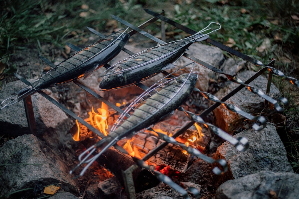 Cooking Recipes For The Perfect Camping Trip