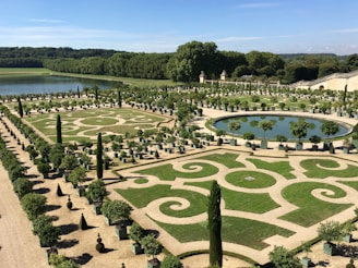 An architectural garden layout showcasing geometric planting beds punctuated by textured trees and ambient lighting.