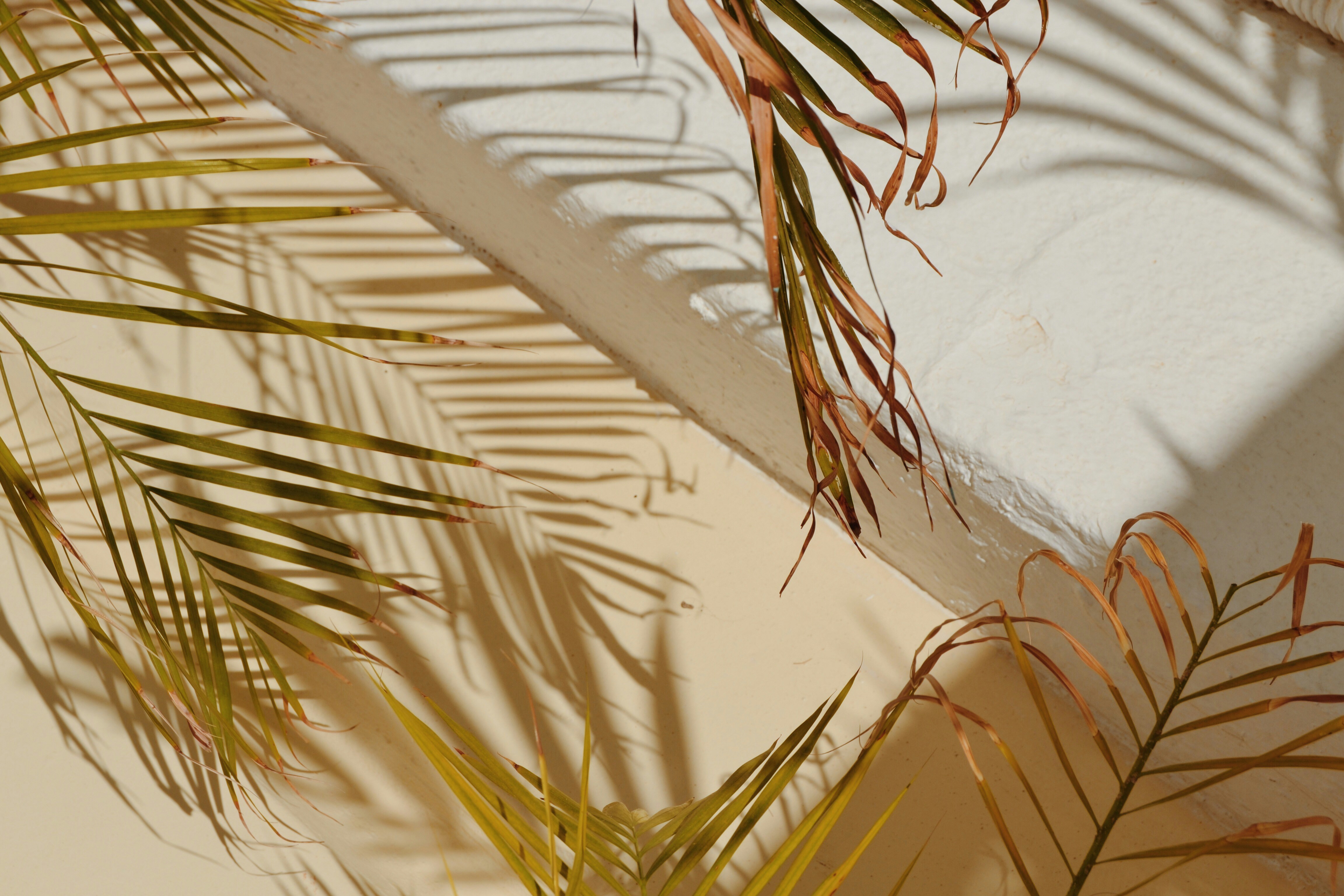 Featured image of post Font-Awesome
