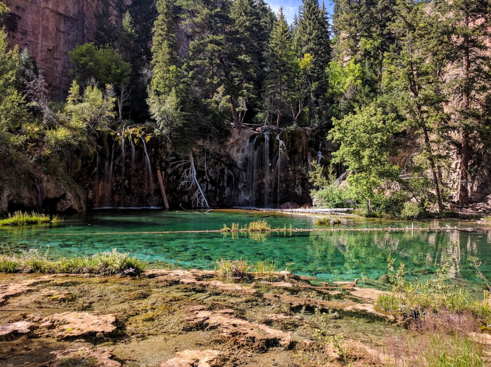 body of water covered with trees and hill