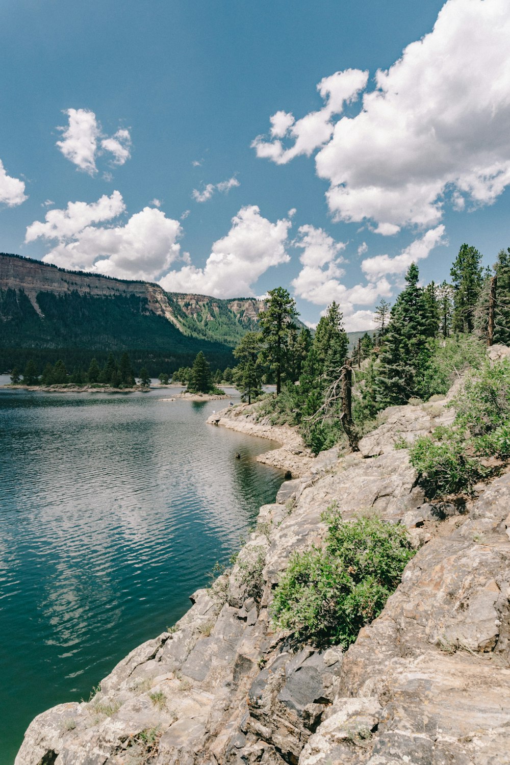 green trees and mountain by the water under blue sky and white clouds during daytime