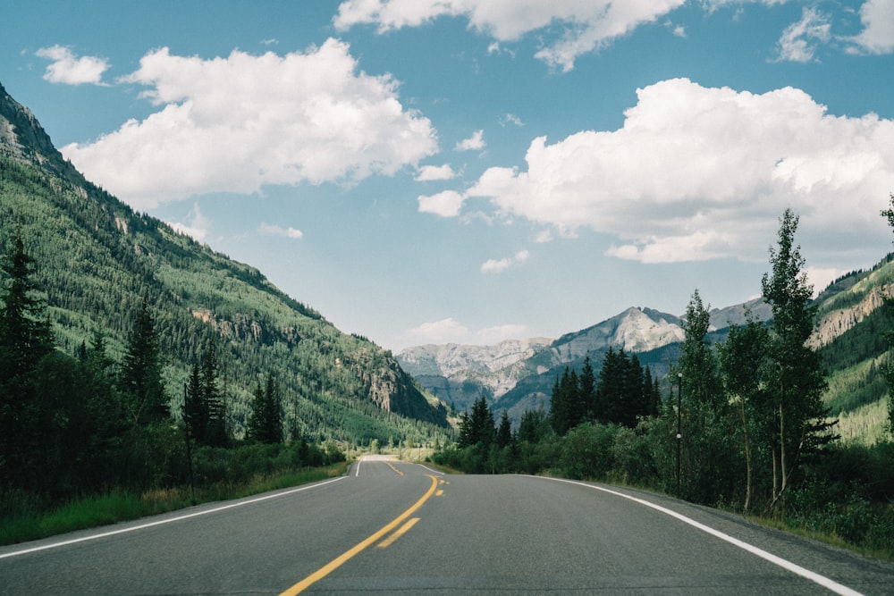 asphalt road with trees on the side