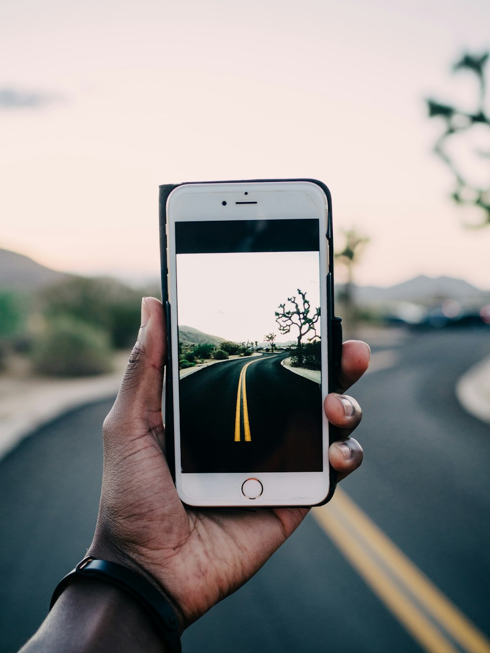 person using gold iPhone 6 capturing road