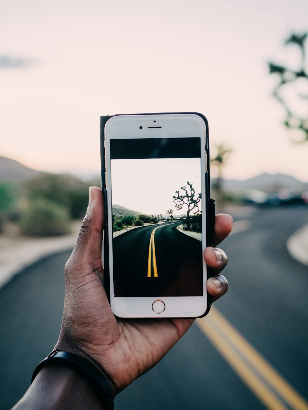 persona usando el iPhone 6 dorado capturando la carretera