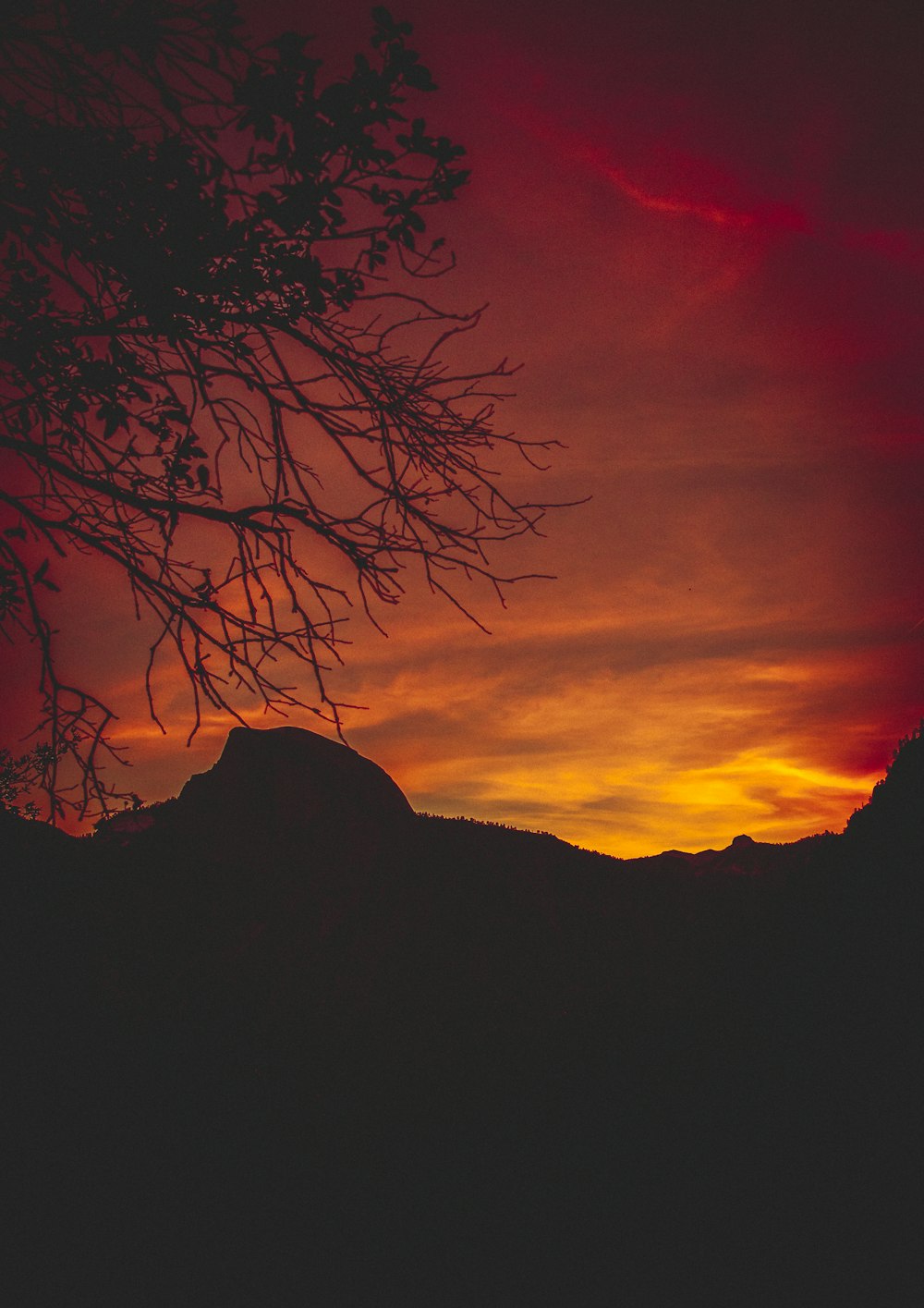 silhouette of tree and mountain