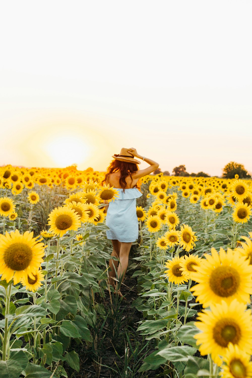 Mujer de pie entre el campo de girasoles durante el día