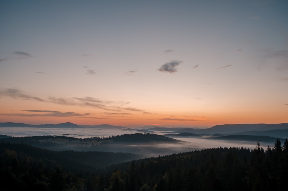 montagne et arbre pendant l’heure dorée