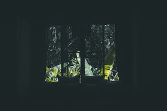 Close-up of a richly textured dark green curtain complementing a cozy interior.