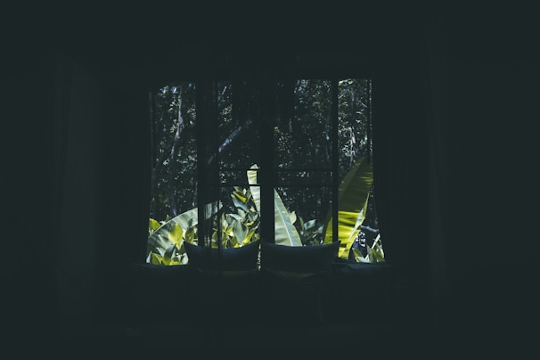 Close-up of a richly textured dark green curtain complementing a cozy interior.