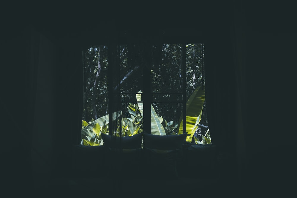 a view of a forest through a window