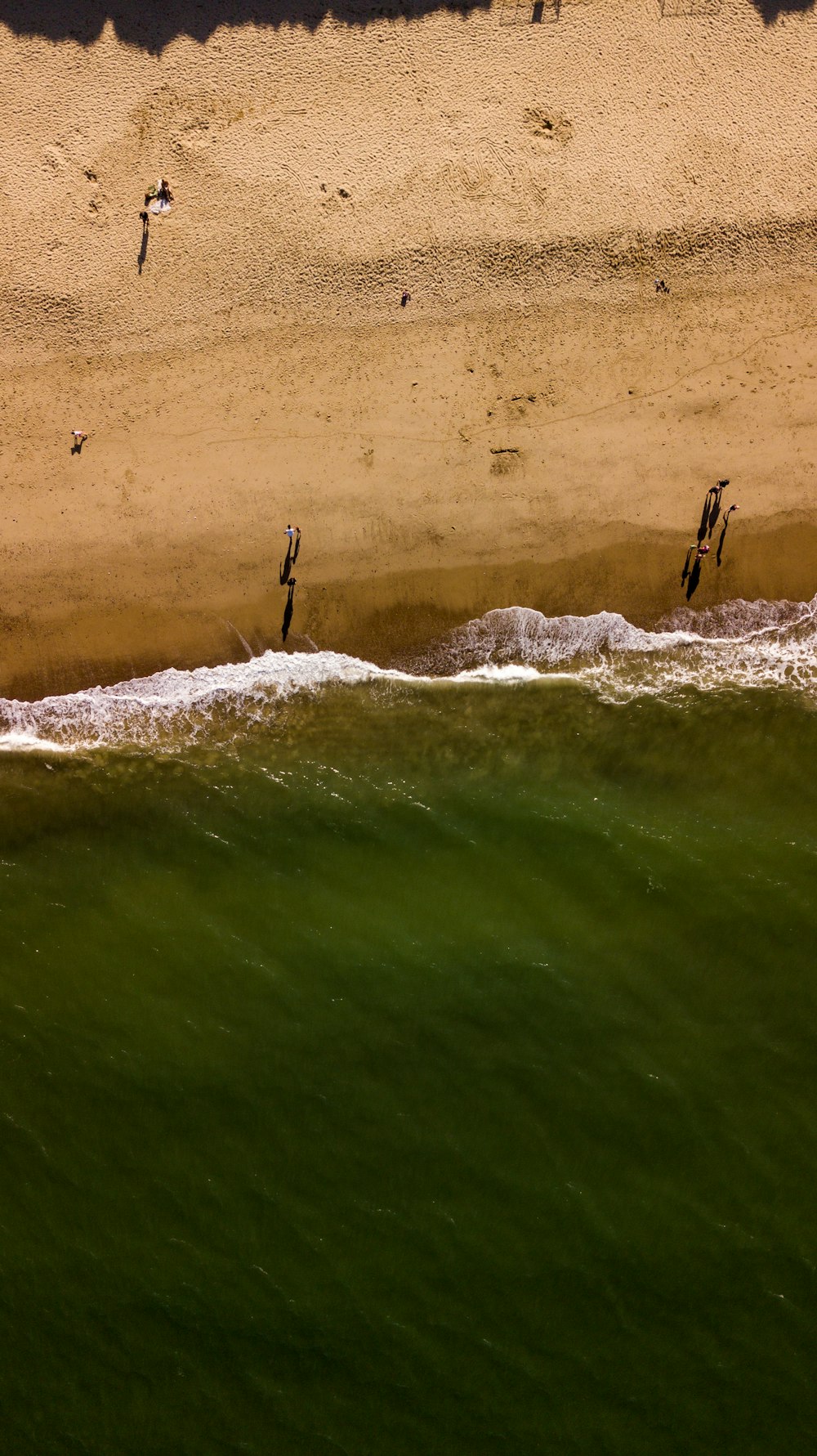 aerial view photography of shoreline