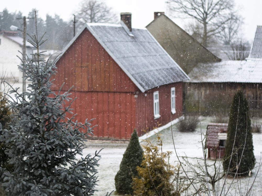 red and gray house