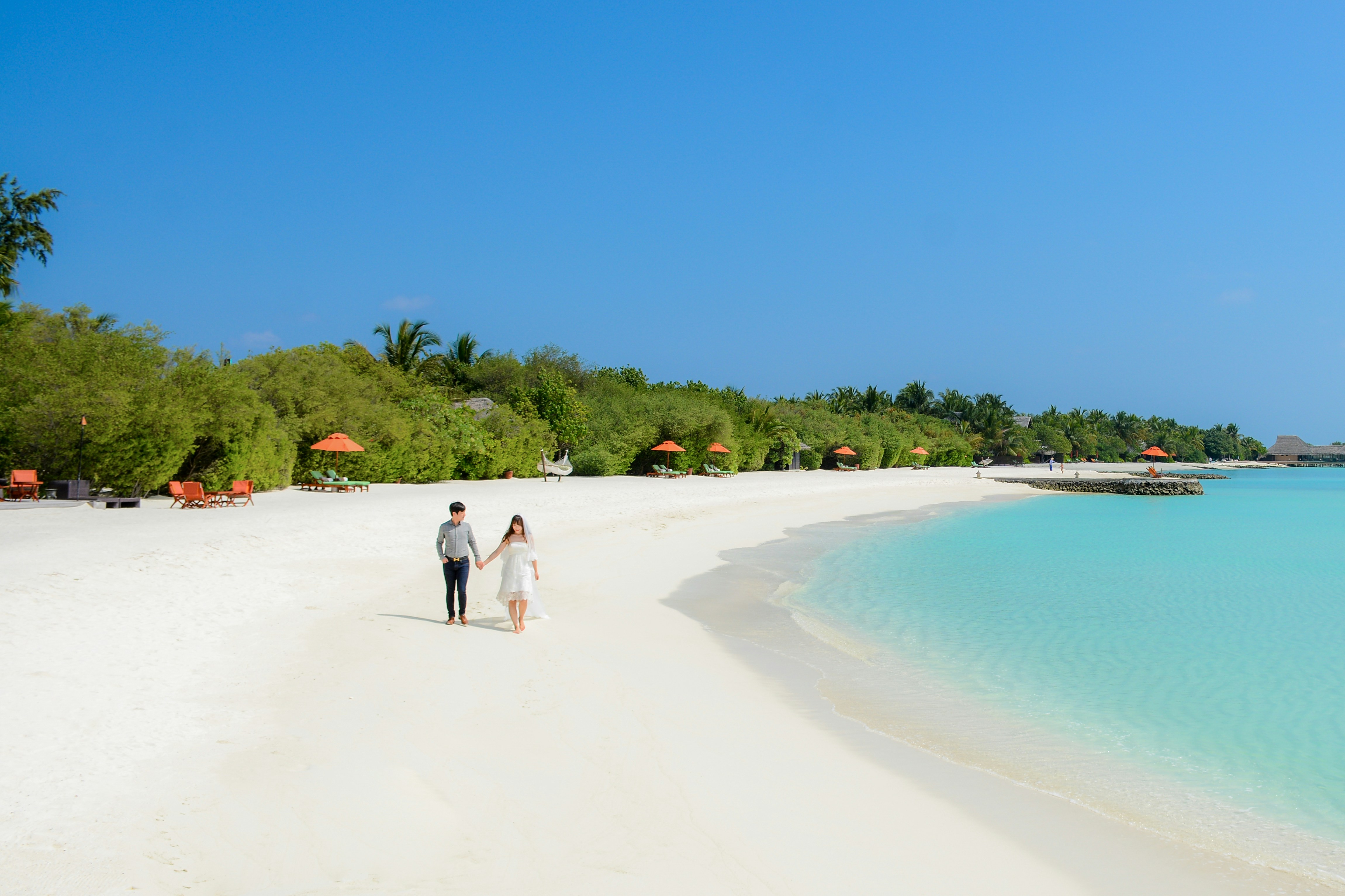 Un tiro hermoso admitido Taj Maldives en 2016.
