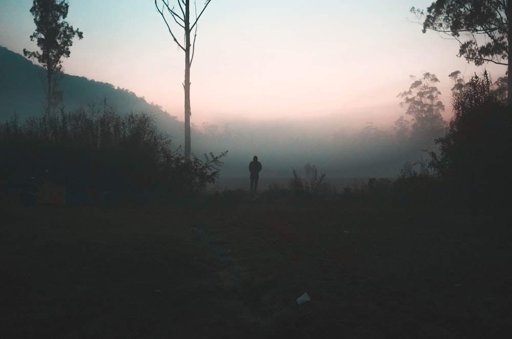 man standing beside grass and trees