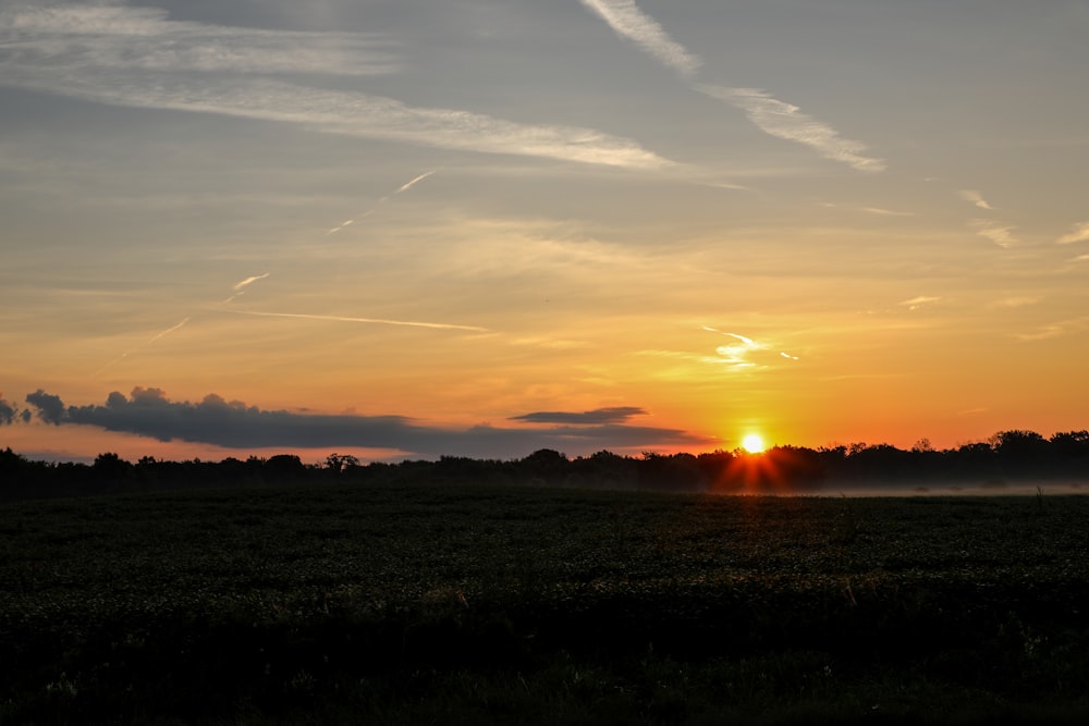 grass field during golden hour