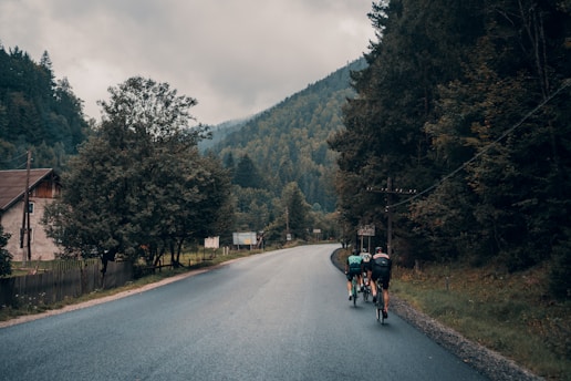 Group of cyclists riding together on a scenic mountain road.