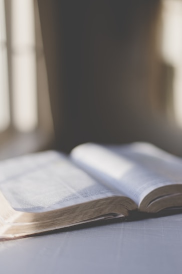 An open book resting on a wooden table with soft natural light.
