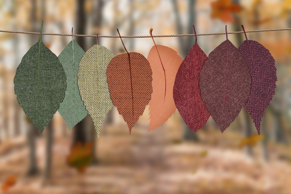 folhas têxteis de cores variadas penduradas na decoração