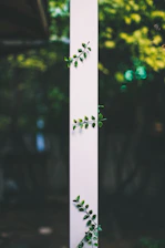 A vertical olive green column featuring braiding and weaving services with elegant typography.