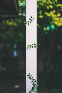 A vertical olive green column featuring braiding and weaving services with elegant typography.